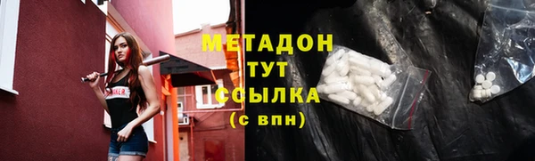 прущие грибы Алзамай