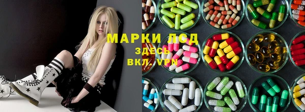 прущие грибы Алзамай
