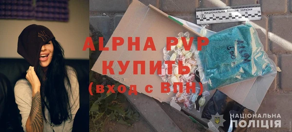 прущие грибы Алзамай