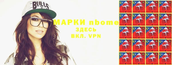 прущие грибы Алзамай