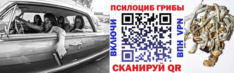 Псилоцибиновые грибы ЛСД  Купить  Тимашёвск 